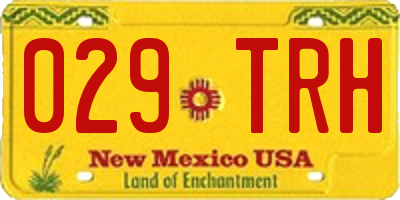 NM license plate 029TRH