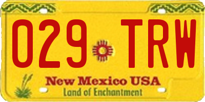 NM license plate 029TRW