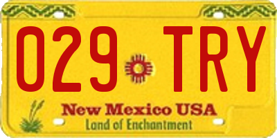 NM license plate 029TRY
