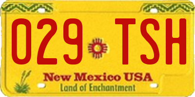 NM license plate 029TSH