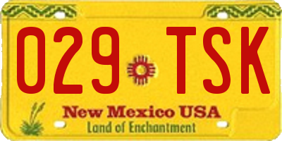 NM license plate 029TSK