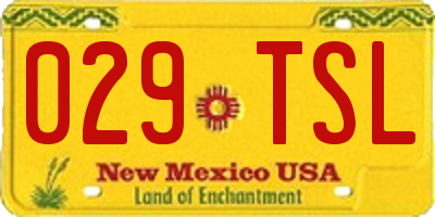 NM license plate 029TSL
