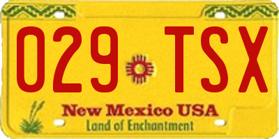 NM license plate 029TSX