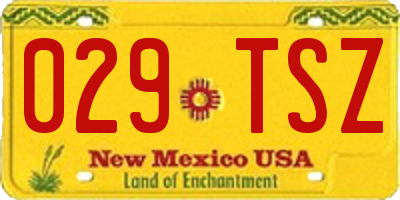 NM license plate 029TSZ