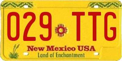 NM license plate 029TTG