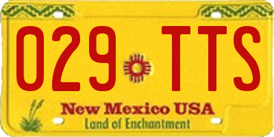 NM license plate 029TTS
