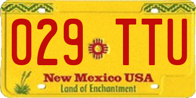 NM license plate 029TTU
