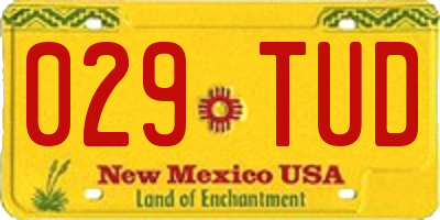 NM license plate 029TUD