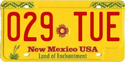 NM license plate 029TUE
