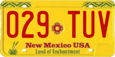 NM license plate 029TUV
