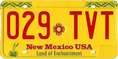 NM license plate 029TVT
