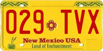 NM license plate 029TVX