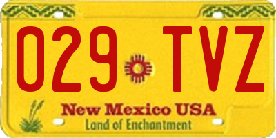 NM license plate 029TVZ