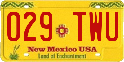 NM license plate 029TWU