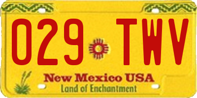 NM license plate 029TWV