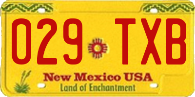 NM license plate 029TXB