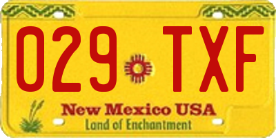 NM license plate 029TXF