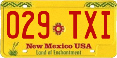 NM license plate 029TXI