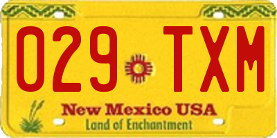 NM license plate 029TXM
