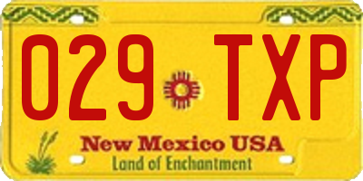 NM license plate 029TXP