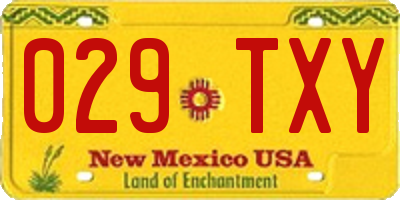 NM license plate 029TXY
