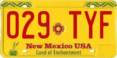 NM license plate 029TYF