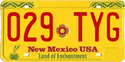 NM license plate 029TYG