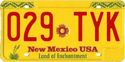 NM license plate 029TYK