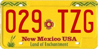 NM license plate 029TZG