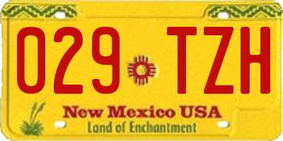 NM license plate 029TZH