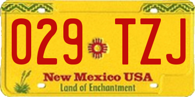 NM license plate 029TZJ