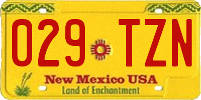 NM license plate 029TZN