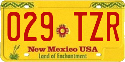 NM license plate 029TZR