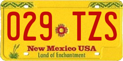 NM license plate 029TZS