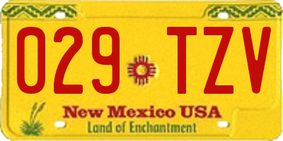 NM license plate 029TZV