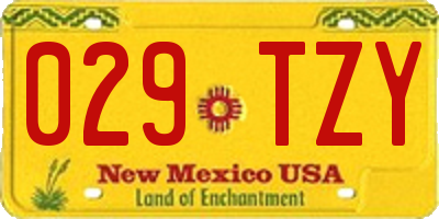 NM license plate 029TZY