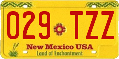 NM license plate 029TZZ