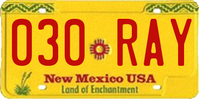 NM license plate 030RAY