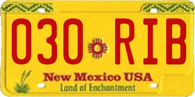 NM license plate 030RIB