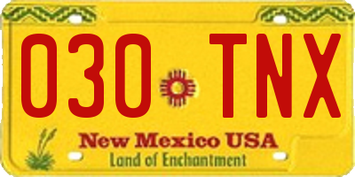 NM license plate 030TNX