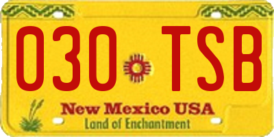 NM license plate 030TSB