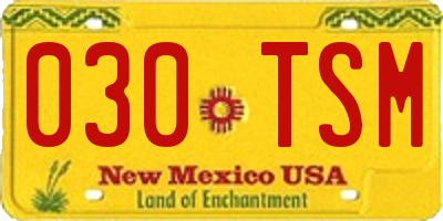 NM license plate 030TSM