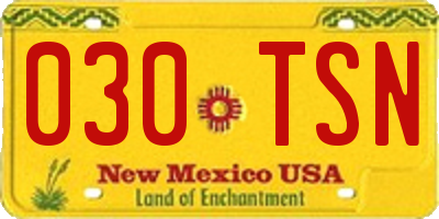 NM license plate 030TSN