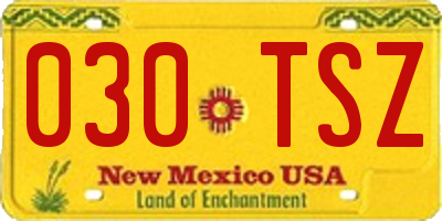 NM license plate 030TSZ
