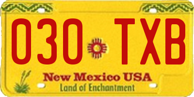 NM license plate 030TXB