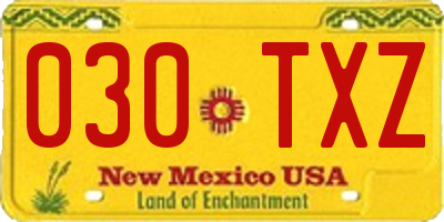 NM license plate 030TXZ