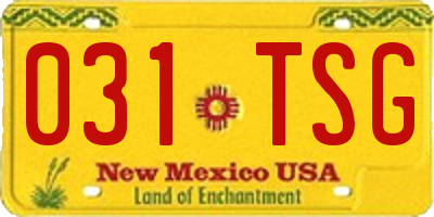 NM license plate 031TSG