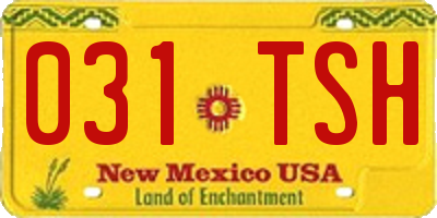 NM license plate 031TSH