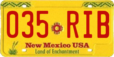 NM license plate 035RIB