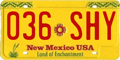 NM license plate 036SHY